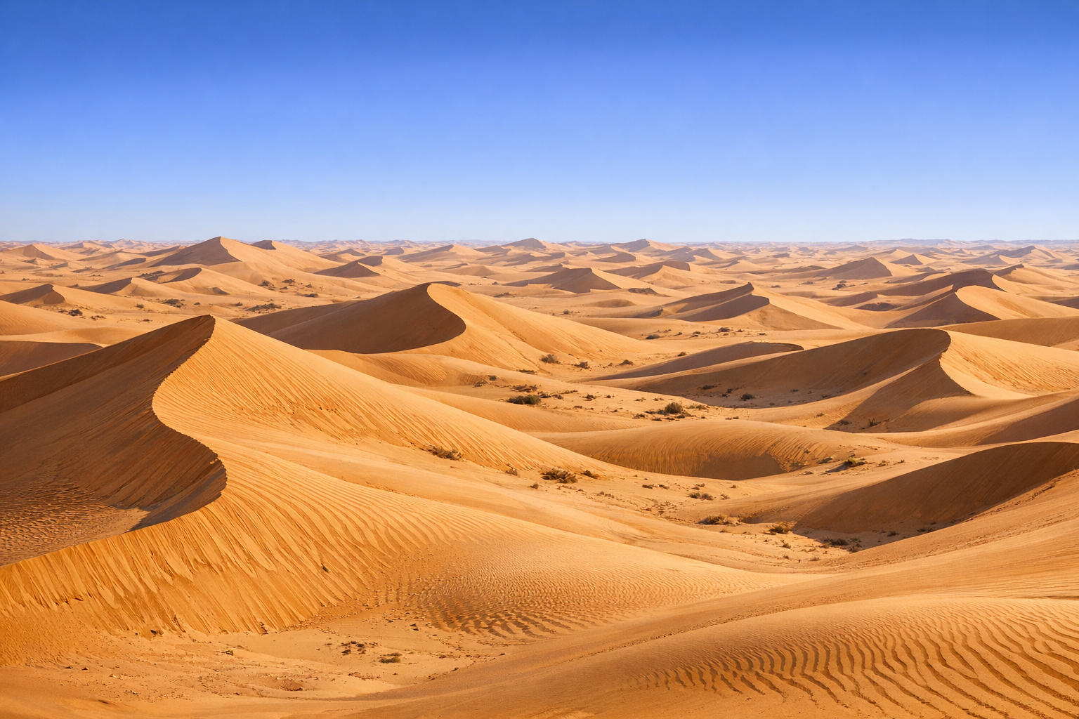 Erg désert : définition simple et rôle des dunes sahariennes