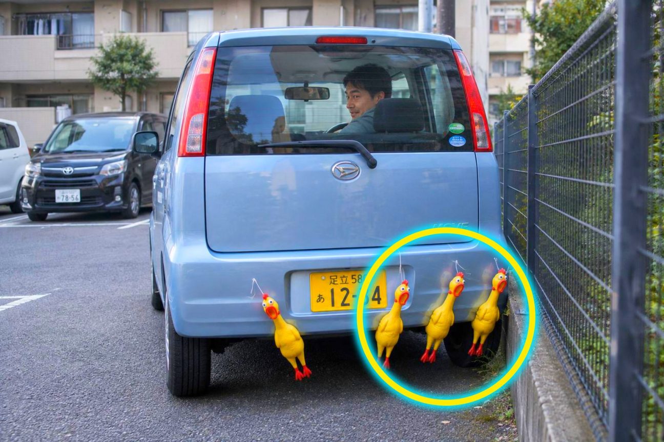 Quatre poulets en caoutchouc jaune criards suspendus par de la ficelle au grillage métallique d'une clôture de parking résidentiel, alignés à hauteur de pare-chocs
