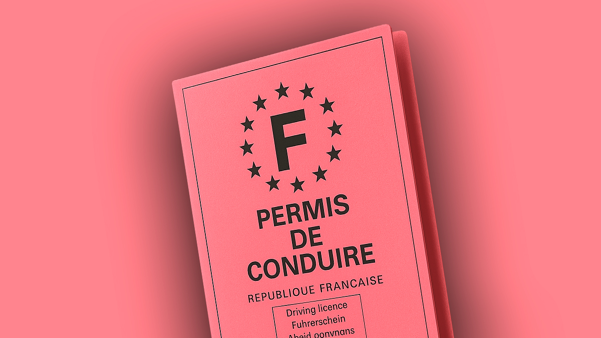Conducteur consulte son permis de conduire et son téléphone affichant l'application Mes points permis pour vérifier son solde de points après une amende routière