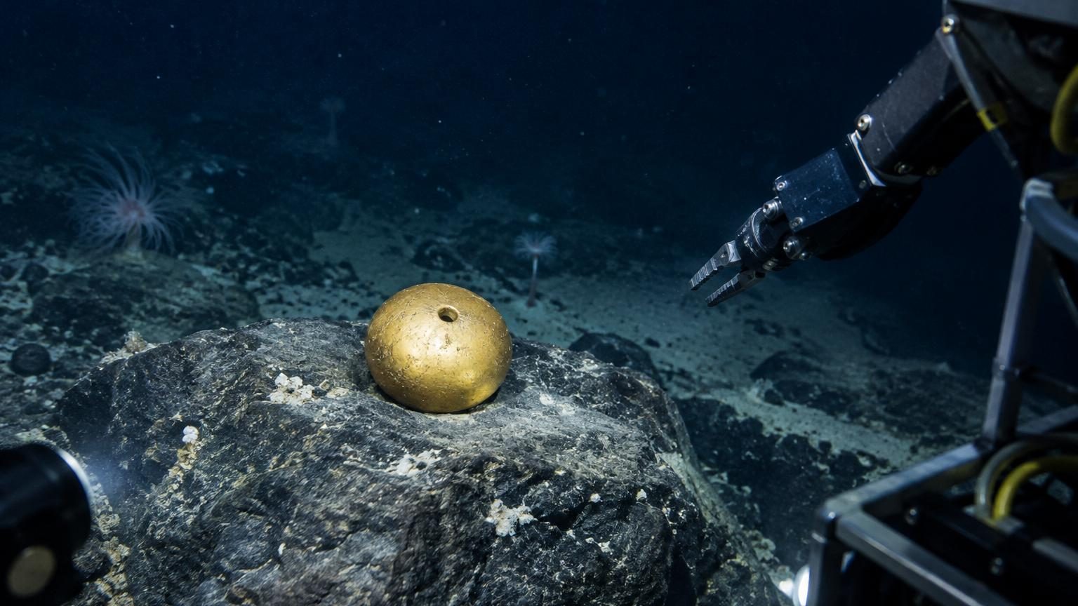 Un robot filme une mystérieuse « boule dorée » au fond du Pacifique : après des centaines d&rsquo;analyses, les scientifiques livrent enfin la réponse