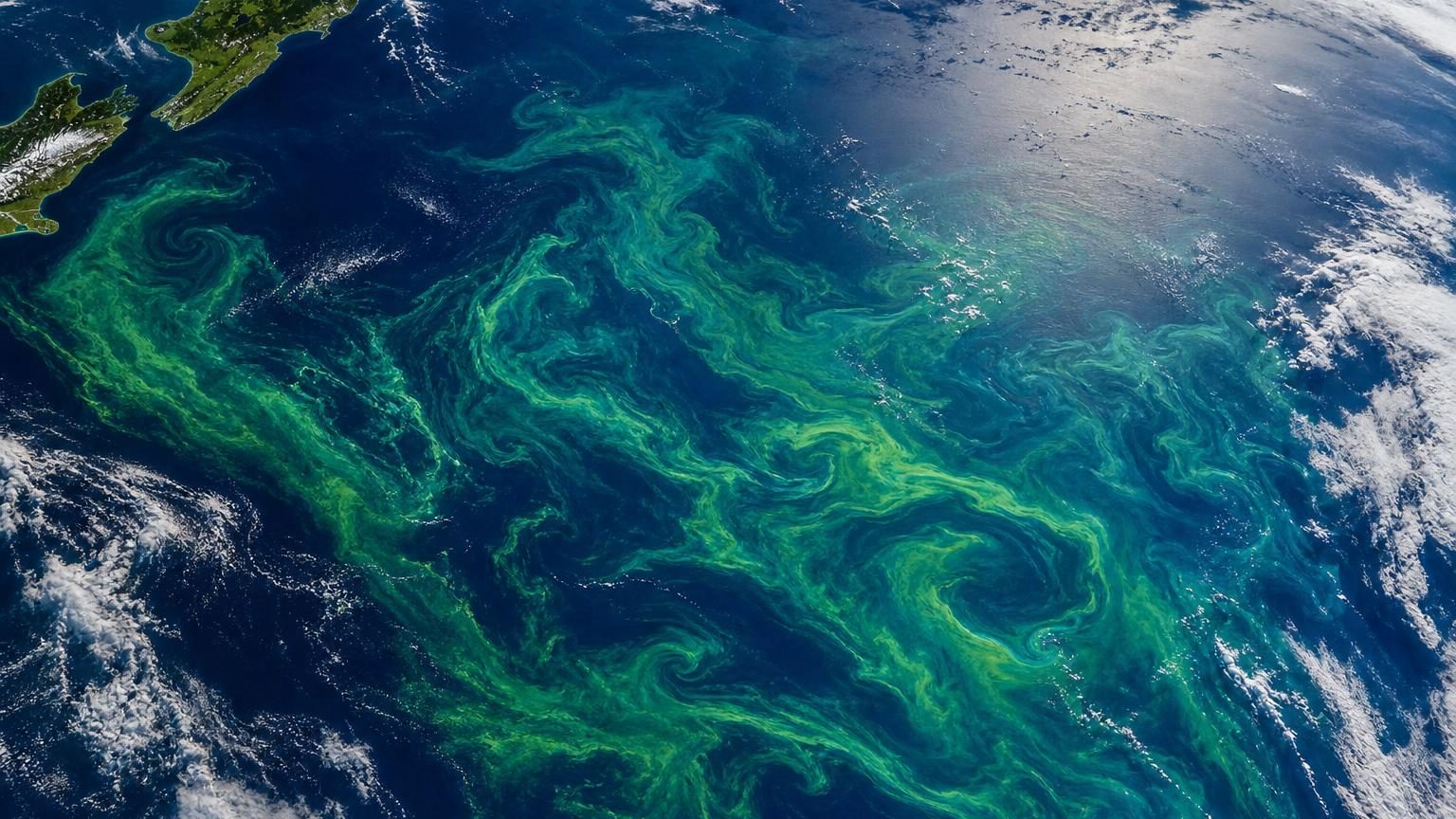 Vue satellite d'une vaste tache vert laiteux dans l'océan au sud de la Nouvelle-Zélande, montrant une efflorescence de phytoplancton avec des volutes et filaments sculptés par les courants marins.